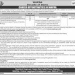 WAPDA Primary School, Golen Gol Hydel Power Station Jobs 2026